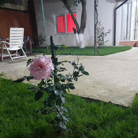 Cazare La Mare Patrascu Apartment Constanta Bagian luar foto